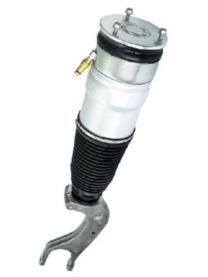 টেসলা মডেল এস পিছনের এয়ার স্প্রিং মডিউল ডুয়াল মোটর ২০১২-২০২১ এর জন্য